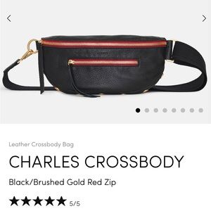 HAMMITT Charles crossbody belt bag NEW